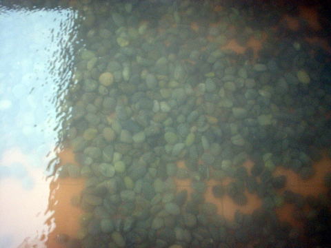 ���̒r�n���@�����y�����s���z