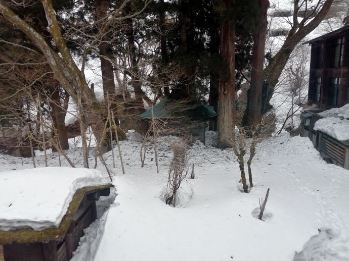 栃尾又温泉　自在館【温泉奉行所】