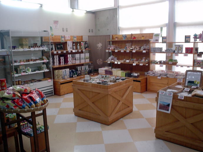 �Í���������@�Í��������y�����s���z