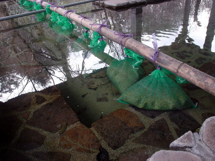 �Í���������@�����̓��y�����s���z