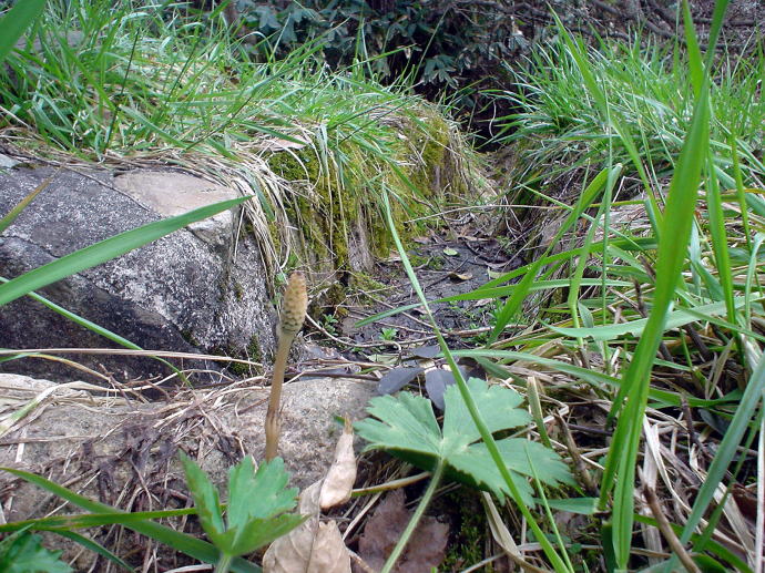 �Í���������@�����̓��y�����s���z