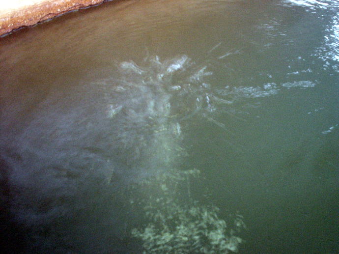 焼岳温泉　奥飛騨ガーデンホテル焼岳【温泉奉行所】