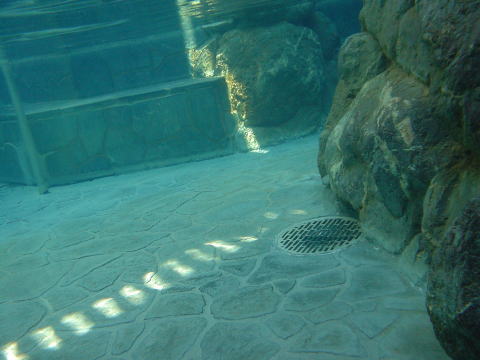 �T�R�^�[�g������@��܂Ƃ̓���ÓX�y�����s���z