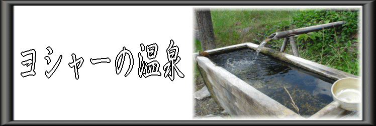 ���V���[�̉���y�����s���z