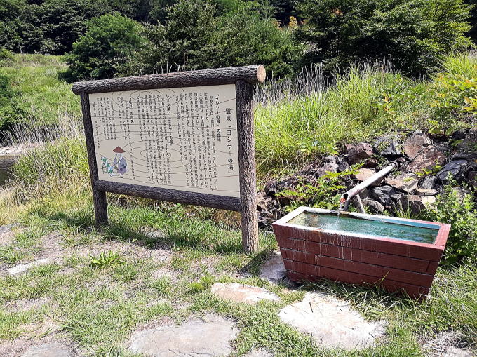 ���V���[�̉���y�����s���z