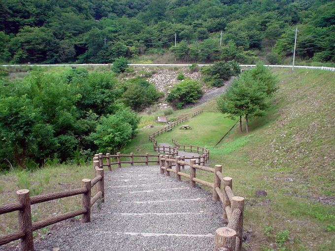 ���V���[�̉���y�����s���z