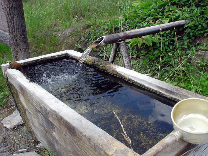 ���V���[�̉���y�����s���z