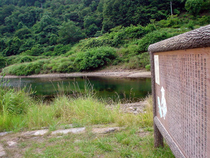 ���V���[�̉���y�����s���z