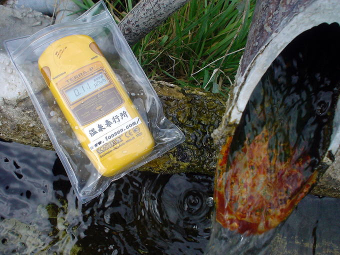 ���V���[�̉���y�����s���z