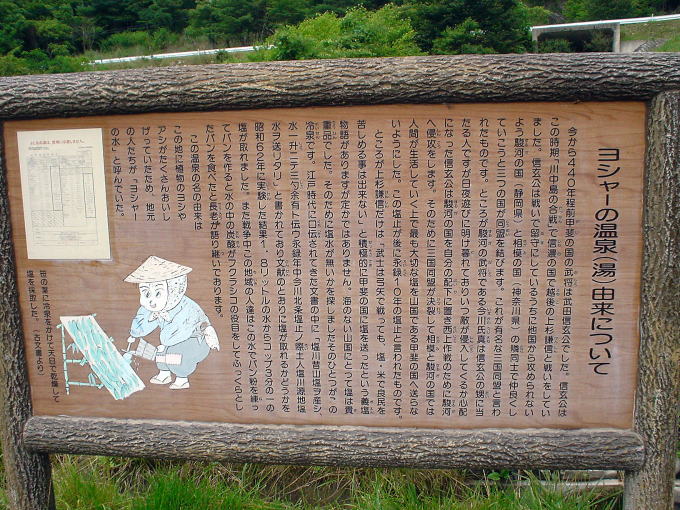 ���V���[�̉���y�����s���z