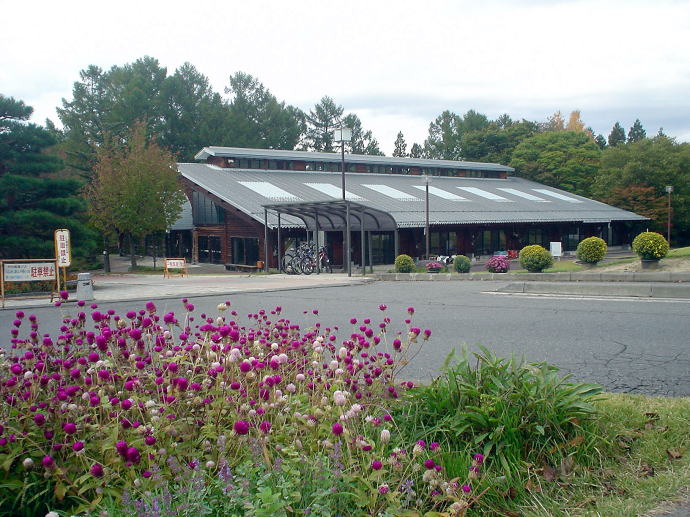 You�V�����h�@�M�B���R�X�уX�|�[�c�����y�����s���z