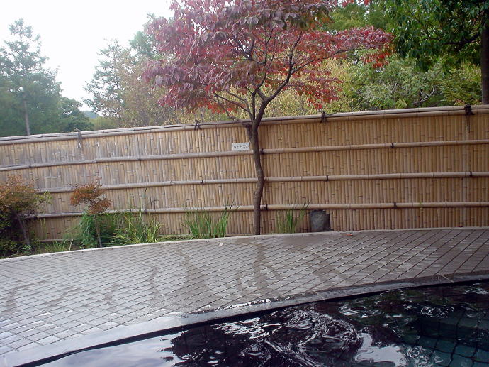 You�V�����h�@�M�B���R�X�уX�|�[�c�����y�����s���z