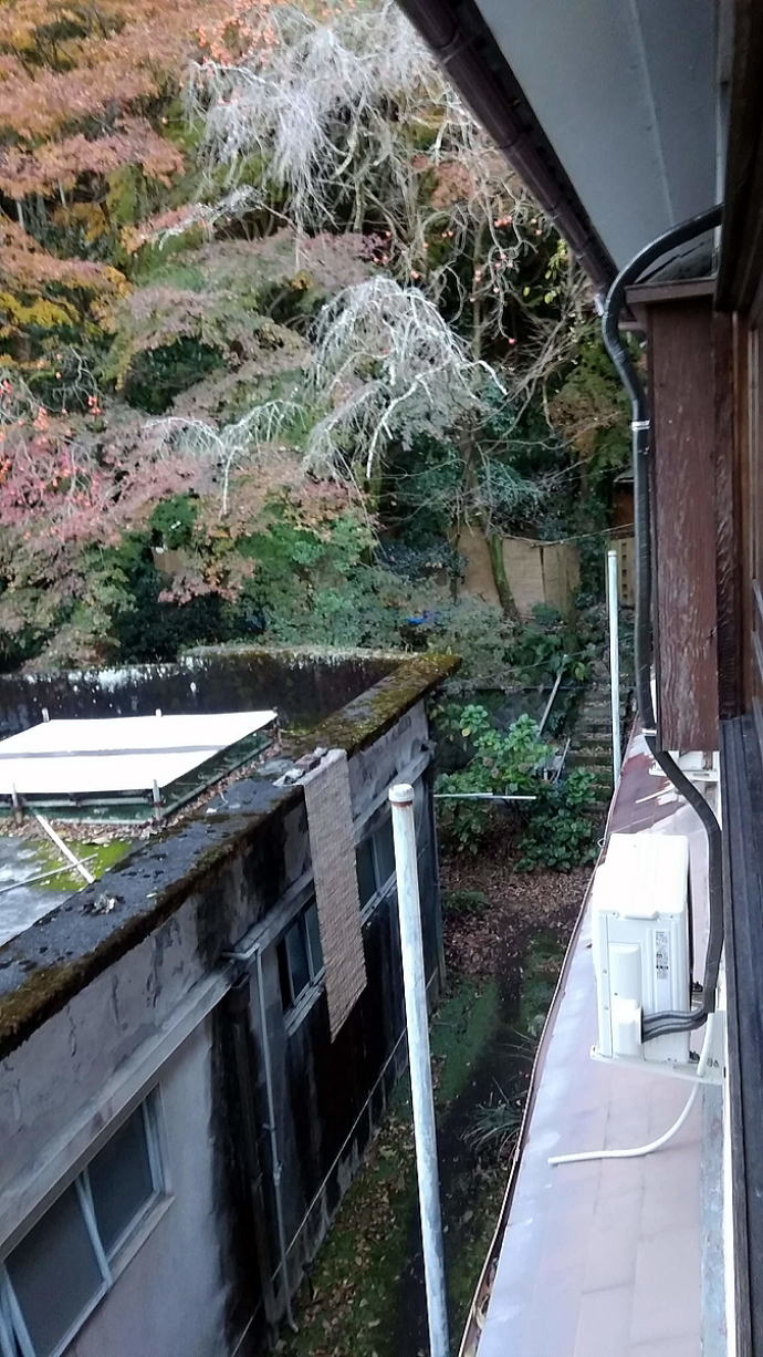 ���͌�����@�ɓ������فy�����s���z