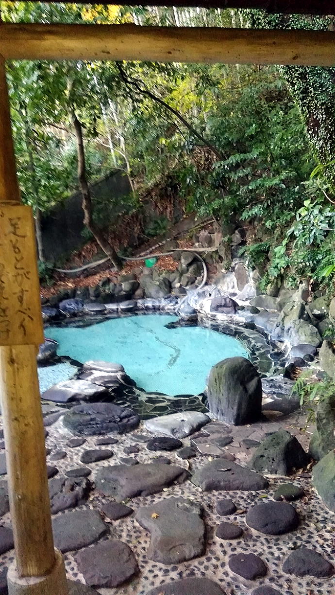 ���͌�����@�ɓ������فy�����s���z