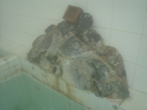 ���̐쉷��@�i����