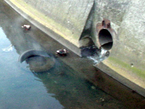 ���̐쉷��@�i����