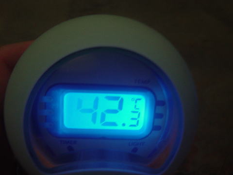 ���̐쉷�� ���̏o���y�����s���z