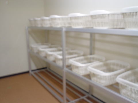 ���̐쉷��@�z�e���J�{�فy�����s���z