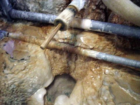 ���̐쉷��@�R�����򒷐����y�����s���z