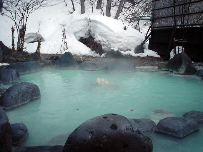 ��������@�����I�V�̓��y�����s���z