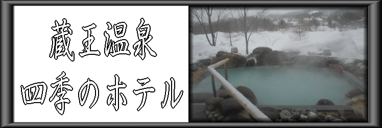 ��������@�l�G�̃z�e���y�����s���z