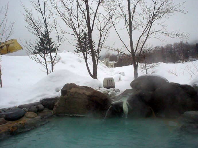 ��������@�l�G�̃z�e���y�����s���z