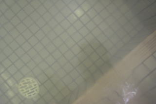 �V�R����V�Ă̓� ���y�����s���z