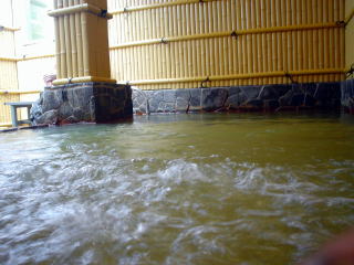 �V�R����V�Ă̓� ���y�����s���z