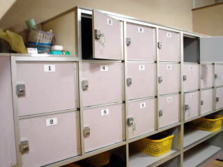 �V�R����V�Ă̓� ���y�����s���z