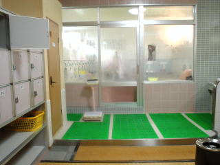 �V�R����V�Ă̓� ���y�����s���z