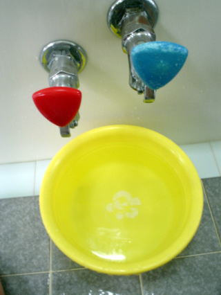 �V�R����V�Ă̓� ���y�����s���z