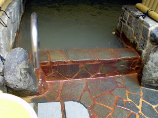 �V�R����V�Ă̓� ���y�����s���z