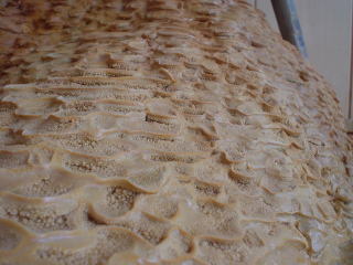 ��҃��W�E������@��҂炶���މ��򗷊�