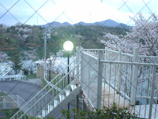 �݂낭���� ��[�Ƃ҂��݂낭�y�����s���z