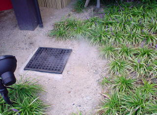 �������@�c�򐬔��̓��@��x�y�����s���z