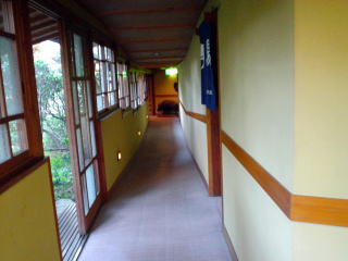 ���̓�����y�����s���z