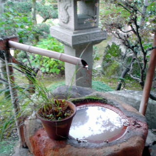 ���̓�����y�����s���z