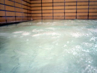 ���̓�����y�����s���z