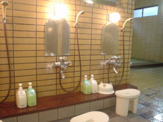 ���̓�����y�����s���z