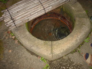 ���̓�����y�����s���z