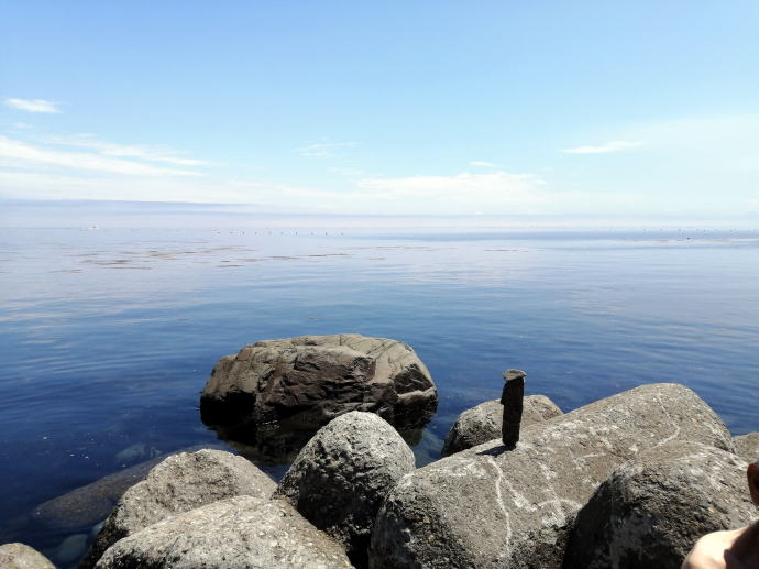 ��������y�����s���z