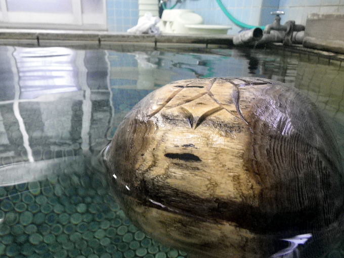 �����Ή���@�܂�����y�����s���z