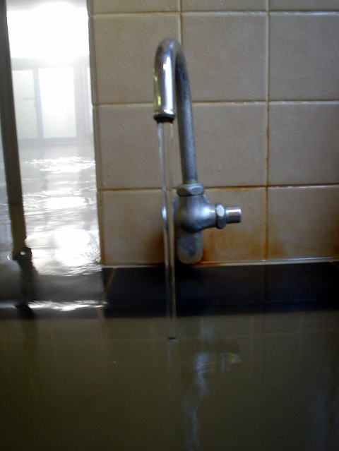 �O�d���@���Z����y�����s���z