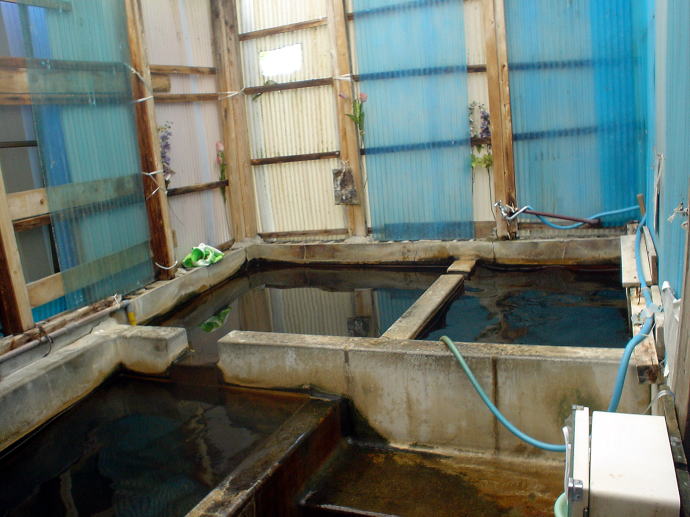 �i�a����@�݂����̓��y�����s���z