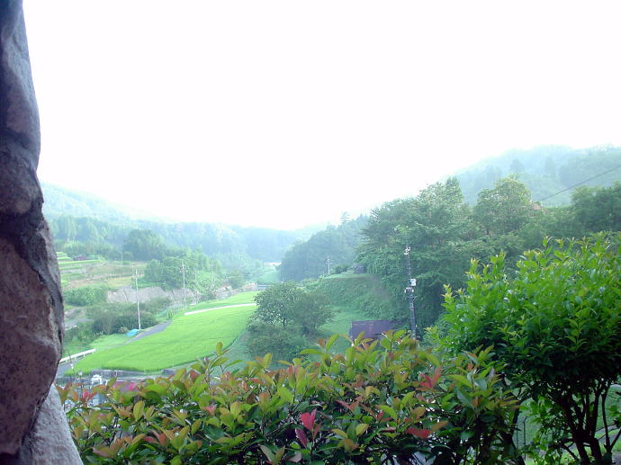 �Ɋy���R����@�A���J�f�B�A�r���b�W�y�����s���z