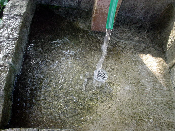 �Ɋy���R����@�A���J�f�B�A�r���b�W�y�����s���z