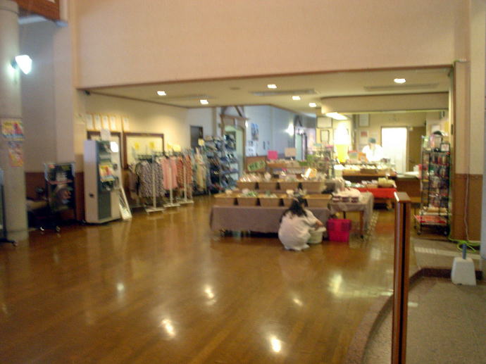 �Ɋy���R����@�A���J�f�B�A�r���b�W�y�����s���z