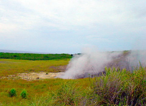 �H����@���������n���y�����s���z