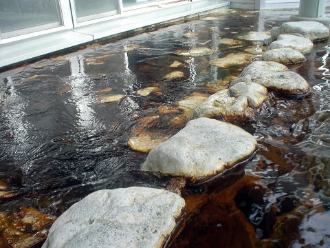 ����{����@����ۂ̏h�ޗǁy�����s���z