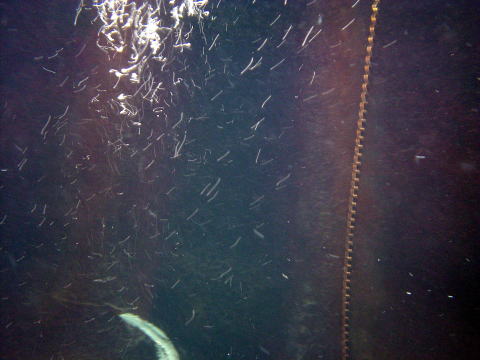 ����{����@����ۂ̏h�ޗǁy�����s���z